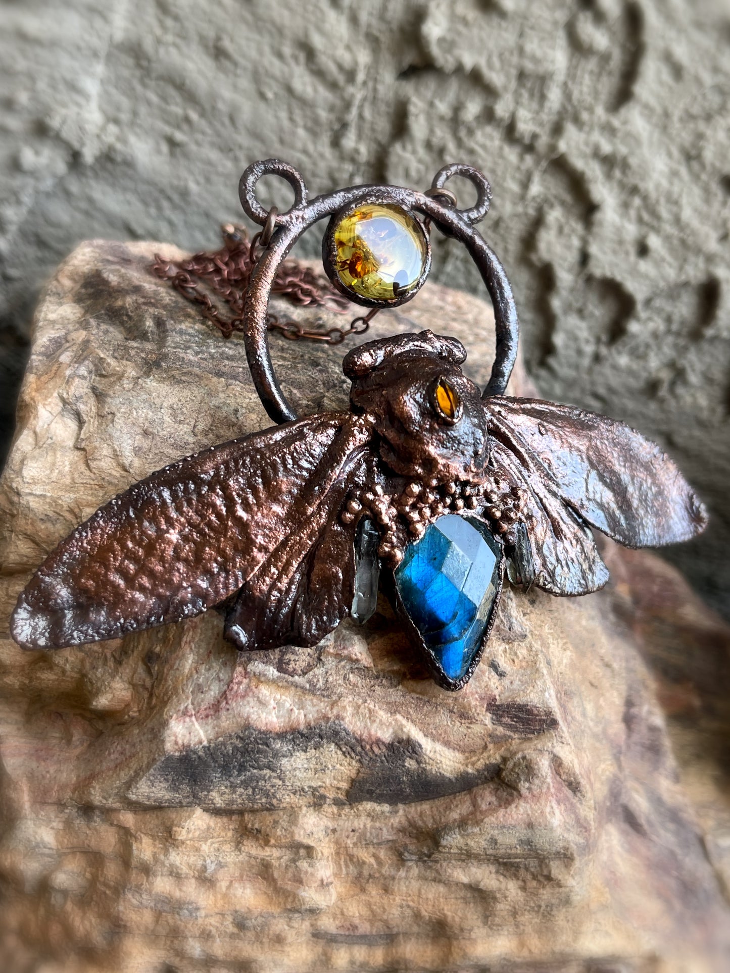 Cicada