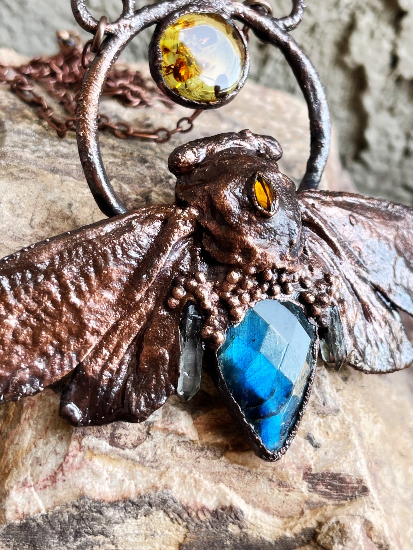 Cicada