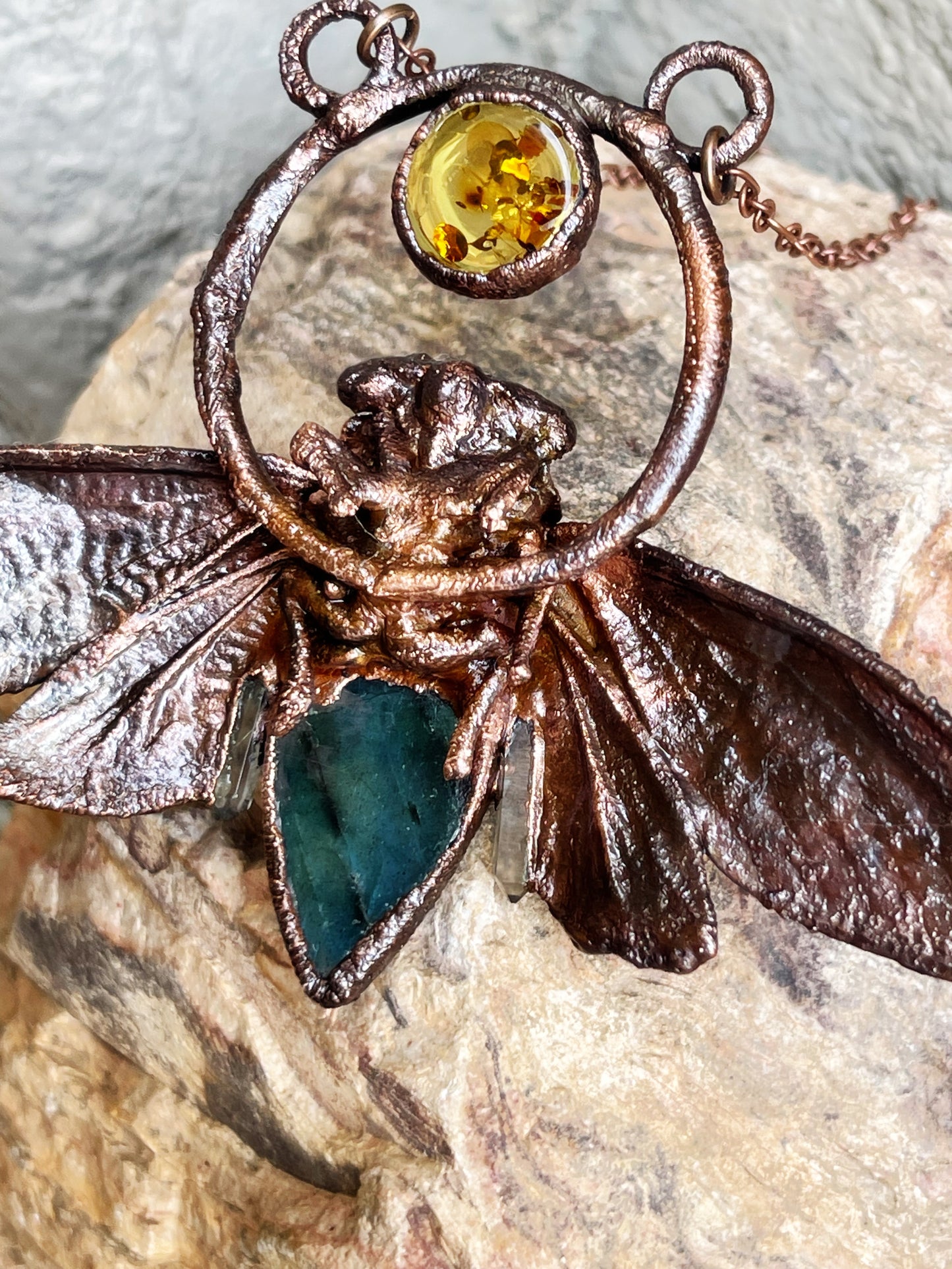 Cicada