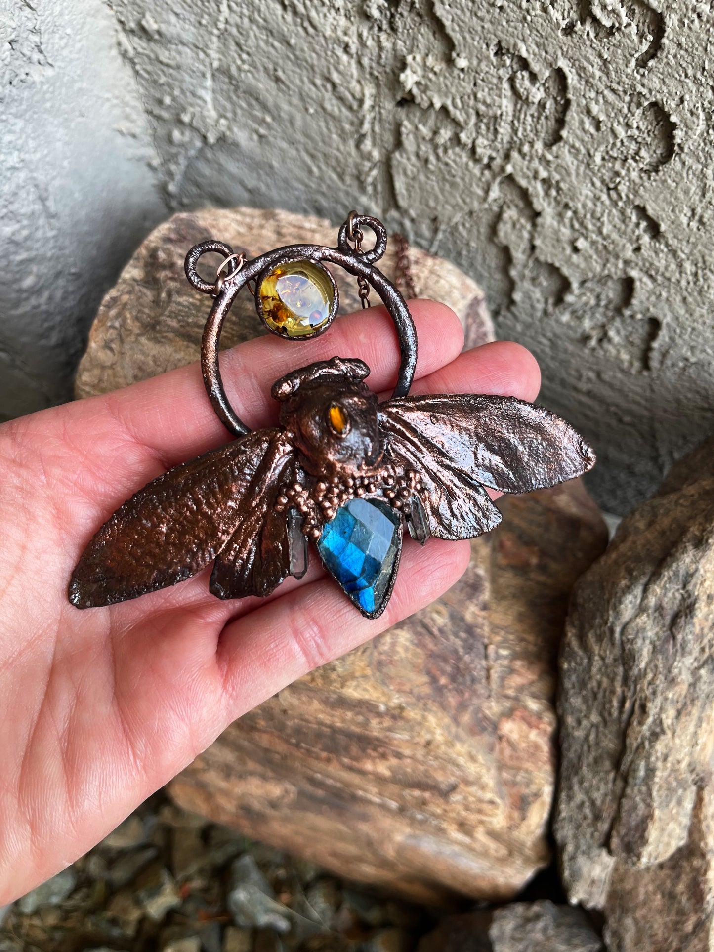 Cicada
