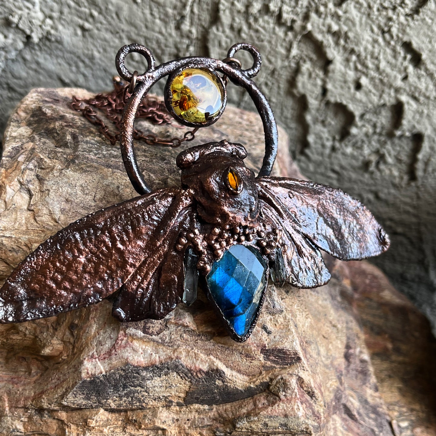Cicada