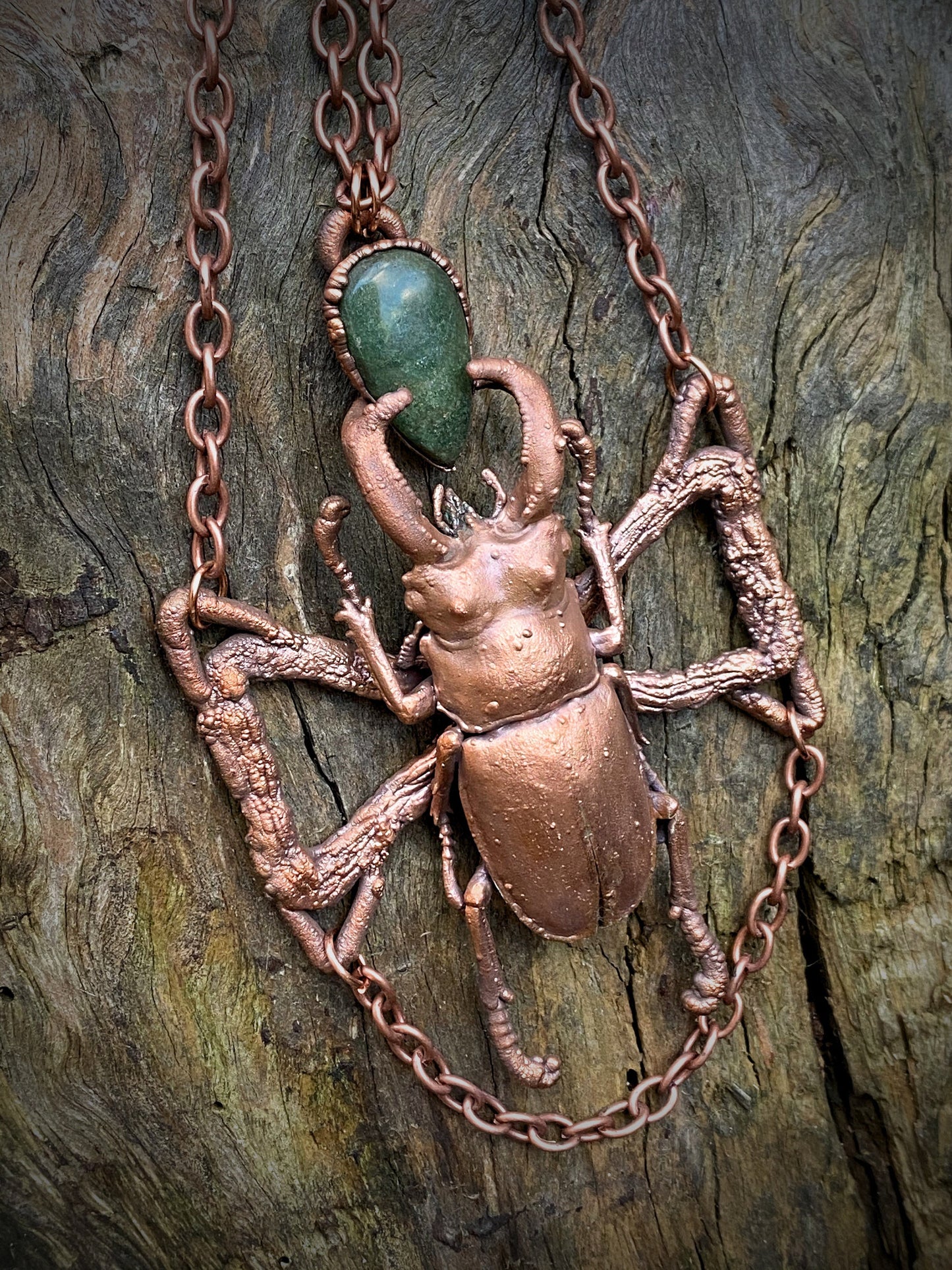 Real stag beetle and green jade