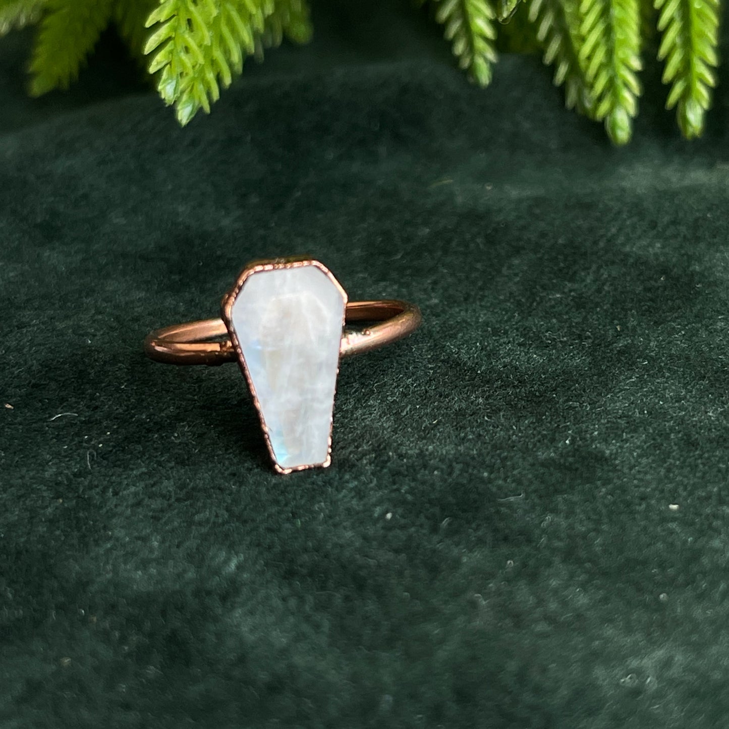Moonstone coffin ring
