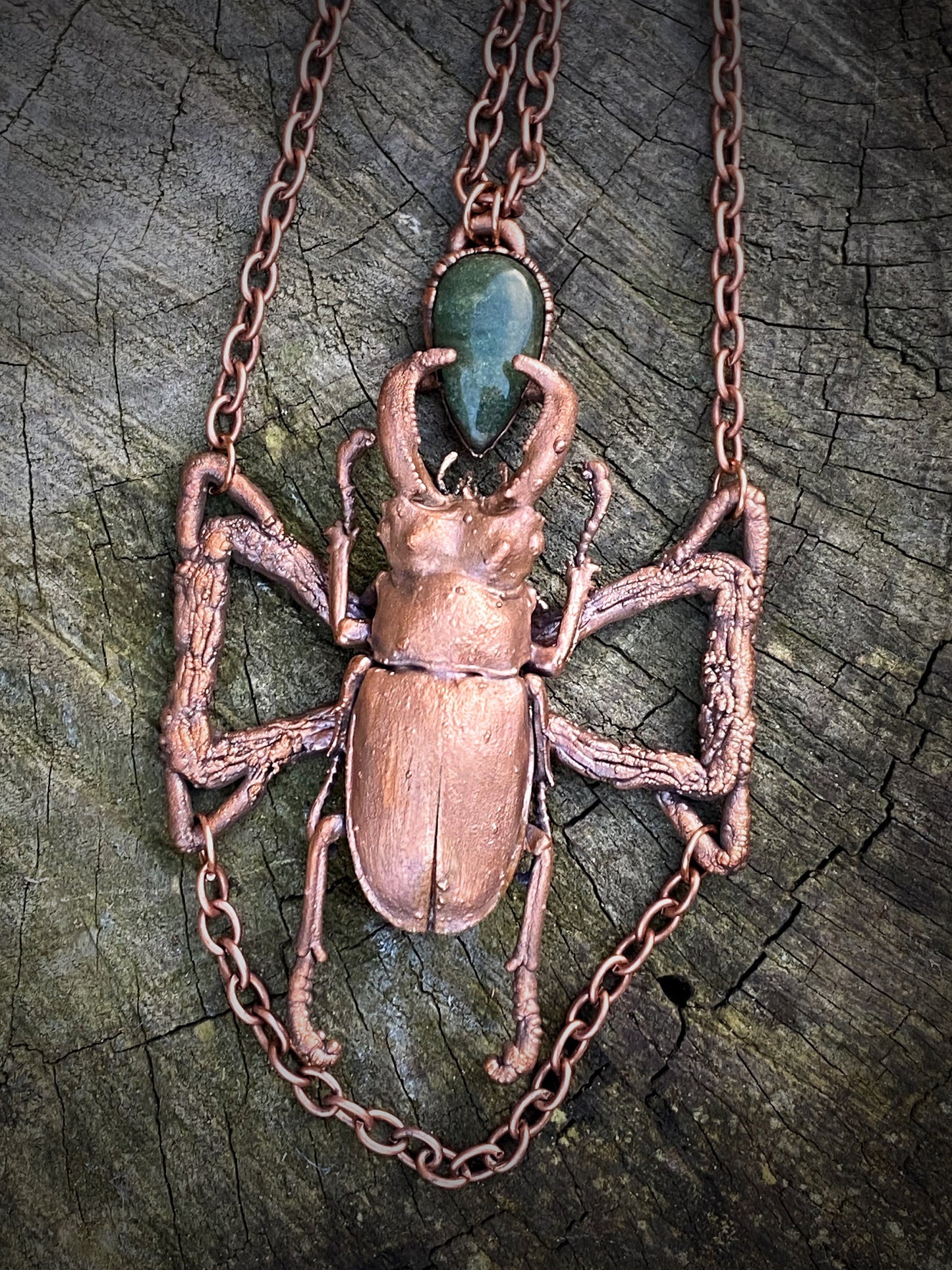 Real stag beetle and green jade